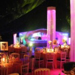 themed wedding